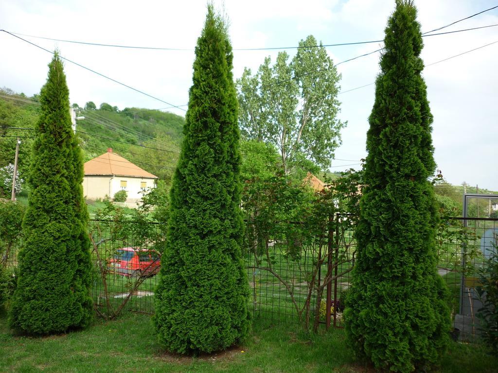 Buekk Vendeghaz Hotel Noszvaj Exterior foto